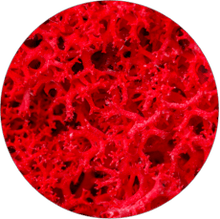 Astaxanthin