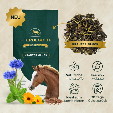 Beutel von Pferdegold Basic Bundle: Atemmineral Pferdefutter, mit Pferdebild, Icons und Blumen, um natürliche Inhaltsstoffe wie ätherische Öle und sekundäre Pflanzenstoffe hervorzuheben.