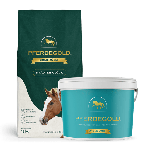 Das grüne Pferdegold Kräuter Bundle: Atemstarker Futtersack mit Müsli Kräuterglück und blauer Omega-3-reicher Ergänzungsbecher, beide mit charmanten Pferde-Illustrationen.