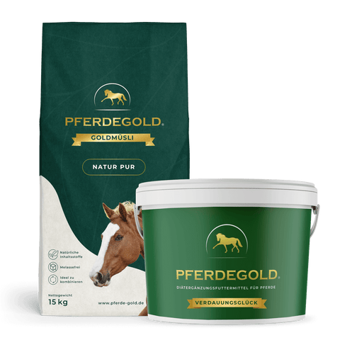 Das Pferdegold Verdauungs Bundle: BalanceFit enthält einen Futtersack und eine Wanne mit Pferdelogo, deutschem Text und Pferdebild; mit "Müsli Natur Pur" und Darmflorastabilisator für die Darmgesundheit.