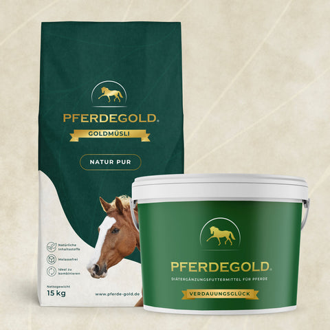 Das Pferdegold Verdauungs Bundle: BalanceFit enthält einen Futtersack und einen weißen Eimer mit goldenen Pferdelogos, deutschen Etiketten und einem Darmflorastabilisator zur Unterstützung des Wohlbefindens Ihres Pferdes.