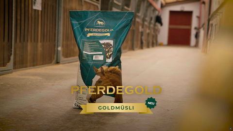 Onze nieuwe Gold Muesli's
