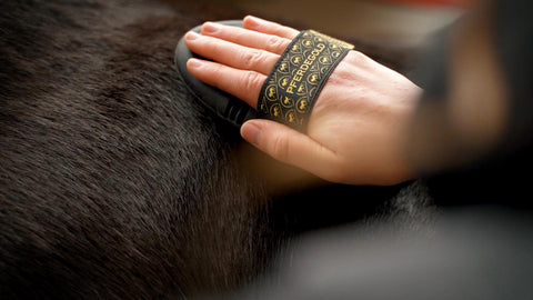 Our horse gold brushes