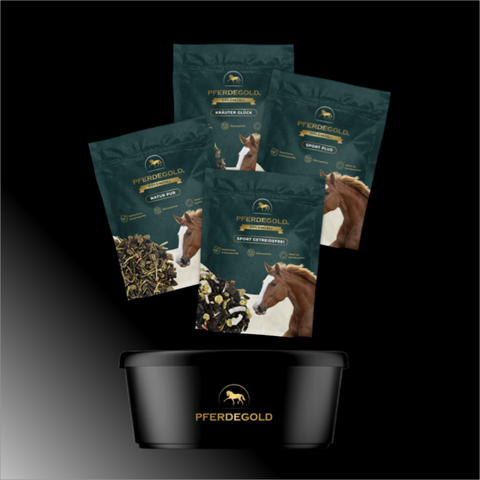 Vier Pferdegold®-Pferdefutterbeutel, darunter Goldmüsli und getreidefreie Varianten, sind über einer schwarzen Pferdegold®-Müslischale auf einem Hintergrund mit Farbverlauf abgebildet.