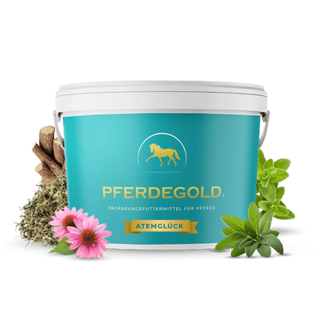 Eine türkisfarbene Pferdegold® Atemglück-Wanne, umgeben von Kräutern und Blumen, die als Atemergänzung für Pferde entwickelt wurde, um das optimale Wohlbefinden des Pferdes zu unterstützen.