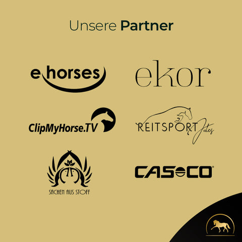 Logos von sechs Partnern - Pferde, ekor, ClipMyHorse.TV, Reitsport Jules, Sachen aus Stoff und Casco -, die für hochwertige Reitsportartikel und das Insektenschutzspray für Pferde von Pferdegold bekannt sind.
