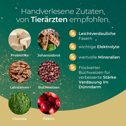 Sechs Zutaten und Vorteile von Darm Akut Pferdegold - optimal für die Pferde-Darmgesundheit - werden mit Bildern und Stichpunkten auf grünem Hintergrund präsentiert. Entdecken Sie die Qualität von Pferdegold.