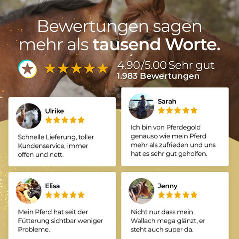 Kundenfoto und Sternebewertungen sowie deutsche Bewertungen zu Pferdegold® Darm Akut Doppelpack 30% von Pferdegold überlagern ein Bild von zwei braunen Pferden.