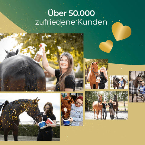 Collage von Menschen, die sich um Pferde kümmern, mit goldenen Herzen, dem Text "Über 50.000 zufriedene Kunden" und einem Hauch von Pferdegold Darm Akut.
