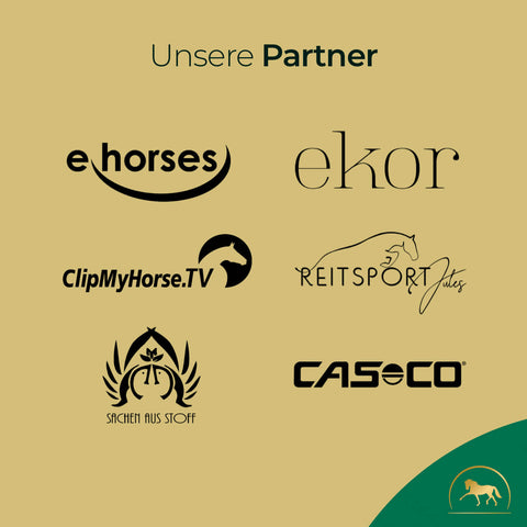Logos von sechs Partnern -ehorses, ekor, ClipMyHorse.TV, Reitsport Jules, Sachen aus Stoff und Casco- zeigen unsere gemeinsame Leidenschaft für Pferdefutter und optimale Elektrolytversorgung mit Pferdegold Elektrolyte - Papiersack 1,5kg.