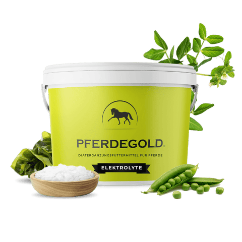 Pferdegold Elektrolyte ist ein grüner Ergänzungsbecher für Pferde mit Erbsen, Blättern und Pulver - ideal für die optimale Elektrolytversorgung im Rahmen von Premium-Pferdefutter.