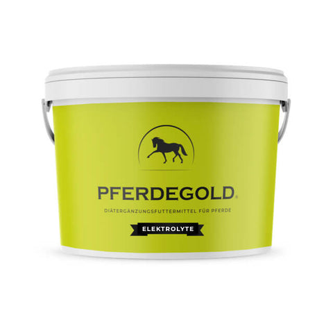 Ein grüner 1,5-kg-Papiersack mit der Aufschrift Pferdegold Elektrolyte, einem Premium-Ergänzungsmittel für die optimale Elektrolytversorgung, mit einer Pferdesilhouette auf der Vorderseite.