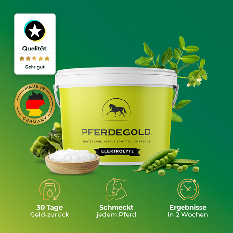 Pferdegold Elektrolyte - Papiersack 1,5kg: Deutsche Qualitätsergänzung mit Icons für Geschmack, Ergebnisse und 30-Tage-Rückgabe - perfekt für Pferdefutterbedarf und optimale Elektrolyt-Versorgung.