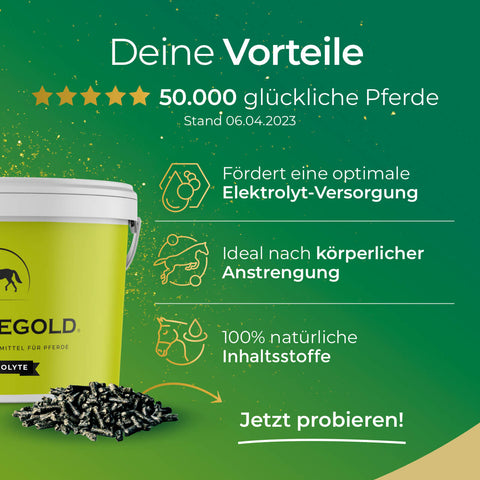 Eine große grüne Anzeige für Pferdegold Elektrolyte - Papiersack 1,5kg hebt natürliche Inhaltsstoffe, optimale Elektrolytversorgung, Fünf-Sterne-Bewertungen und 50.000 zufriedene Pferde hervor.