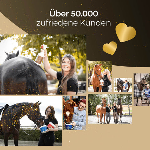 Collage von Frauen, die Pferde mit der Glanzbürste von Pferdegold striegeln, einige mit ihrer elastischen Handschlaufe für handgelenk-freundliche Anwendung. Enthält den Text "Über 50.000 zufriedene Kunden" und zwei goldene Herz-Grafiken.