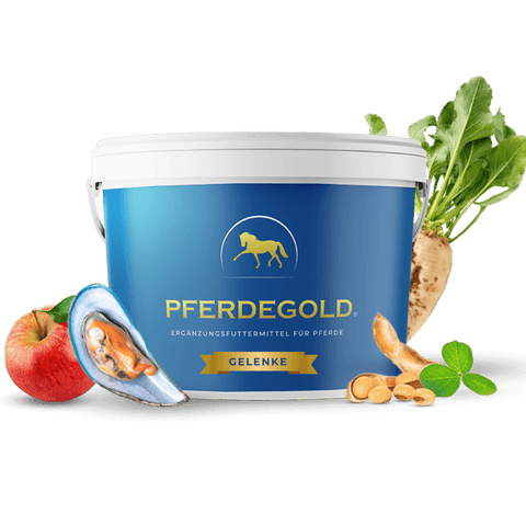 Blauer Pferdegold Gelenkeimer mit Apfel, Muschel, Kurkuma, Erdnuss, Rettich und grünen Blättern - Premium-Gelenkergänzung für Pferde der Marke Pferdegold.