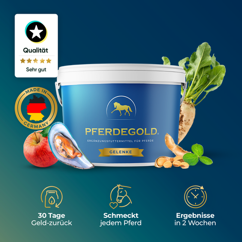 Ein blauer Pferdegold-Eimer mit Pferdegold Gelenke (INT) für Pferde, umgeben von Apfel, Muschel, Ingwer und Wurzelgemüse.