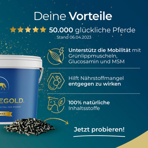 Eine blau-gelbe Anzeige für Pferdegold's Gelenke (INT) hebt die natürlichen Inhaltsstoffe und die Unterstützung der Beweglichkeit hervor und positioniert es als zuverlässiges Ergänzungsfuttermittel für gesunde Pferdegelenke.