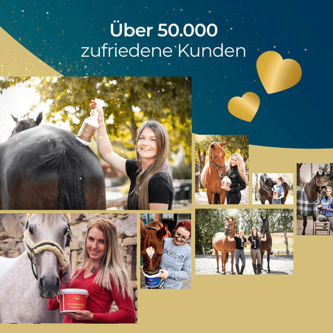 Collage von lächelnden Frauen mit Pferden, die Pferdegold Gelenke - Papiersack 1,5kg Produkte halten und benutzen, mit deutschem Text darüber.