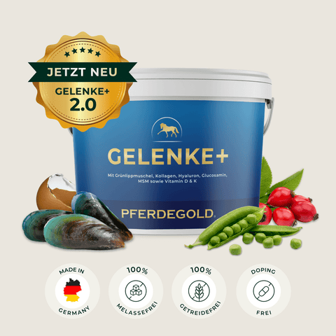 Die blaue Pferdegold® 3 für 2 - Gelenke+ Wanne für Pferde ist mit Muscheln, Erbsen, Beeren und Produktsymbolen auf der Vorderseite versehen - ideal zur Unterstützung der Gelenke Ihres Pferdes.