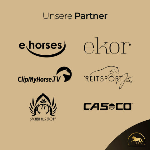 Die Logos von sechs Partnerunternehmen, darunter Pferdegold, sind auf einem beigen Hintergrund abgebildet, darüber steht die Überschrift "Unsere Partner". Das vorgestellte Produkt ist der Gummi-Striegel.