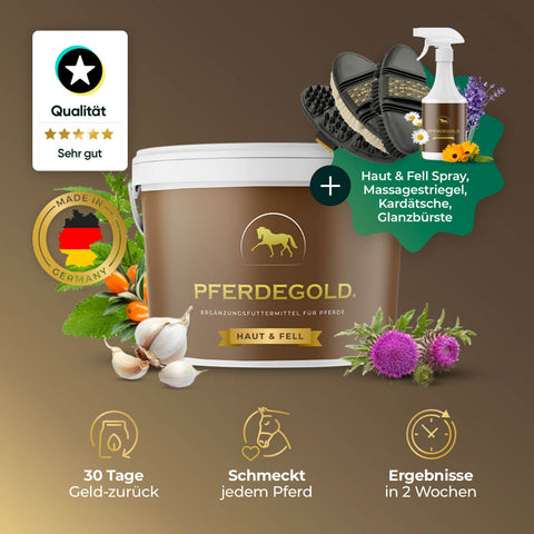 Das Pferdegold® Fellwechsel Bundle enthält eine Ergänzungswanne mit Kräutern, Spray und Pflegeutensilien. Deutsche Qualität, perfekt für Pferde Hautpflege und Pferdefellpflege - wählen Sie Pferdegold für ein glänzendes, gesundes Fell.