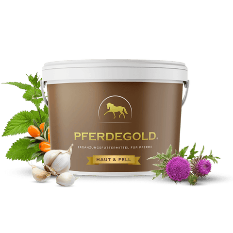 Eine Pferdegold Haut & Fell Dose für Pferde, umgeben von Knoblauch, Beeren und Kräutern - eine ideale Pferdehautpflege für ein gesundes Fell.