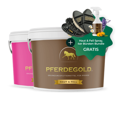 Holen Sie sich das Pferdegold® Fellwechsel Bundle Deluxe (34% Rabatt) mit zwei Ergänzungswannen, sowie einem kostenlosen Spray und einer Bürste für die optimale Haut- & Fellpflege von Pferdegold.