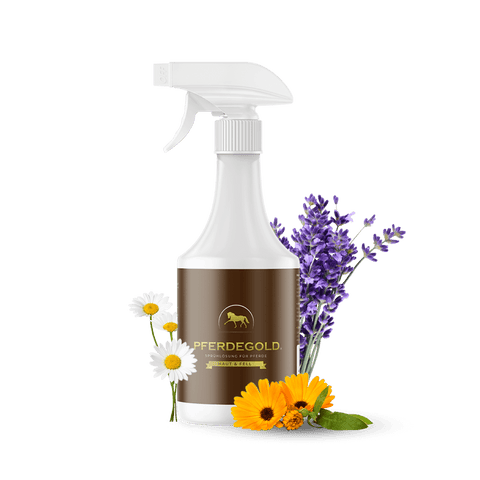 Pferdegold Haut & Fell Spray - Lavendel-, Kamille- und Ringelblumenblüten neben der Flasche - unterstützt den Fellstoffwechsel und fördert glänzendes Fell.
