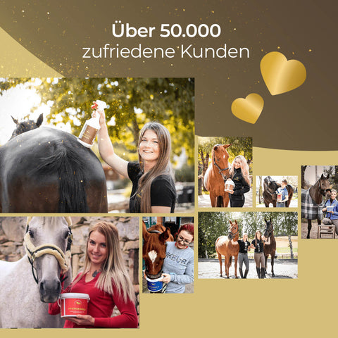 Collage von glücklichen Menschen mit Pferden, dahinter goldene Herzen - zur Feier von über 50.000 zufriedenen Kunden. Pferdegold Haut & Fell Spray: für glänzendes Fell und langanhaltende Linderung bei Juckreiz.