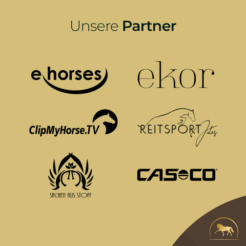 Logos von ehorses, ekor, ClipMyHorse.TV, Reitsport Jules, Sachen aus Stoff und Casco auf beige - gemeinsam für glänzendes Fell und einen gesunden Fellstoffwechsel mit Pferdegold Haut & Fell Spray.