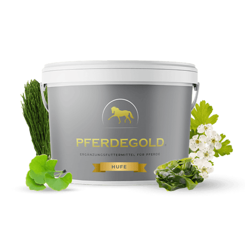 Pferdegold® Hufe