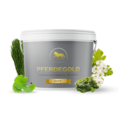 Ein Pferdegold Hufe Ergänzungsbecher für Pferde, auf weißem Hintergrund und umgeben von grünen Kräutern und Blättern - ideal für Ihre Pferdepflege-Routine.