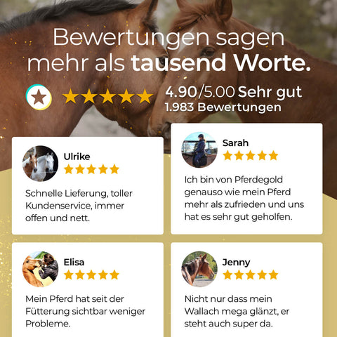 Das Bild zeigt Kundenrezensionen für Pferdegold Hufe - Nachfüller 1,5kg mit einer Bewertung von 4.9/5 und glücklichen Pferden im Hintergrund, was die hohe Zufriedenheit mit diesem und anderen Pferdegold-Produkten unterstreicht.