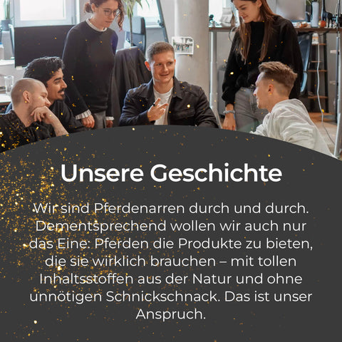 Fünf Personen lachen zusammen an einem modernen Bürotisch; darüber steht Text zur Firmengeschichte und dem Erfolg von Pferdegold Hufe - Nachfüller 1,5kg.