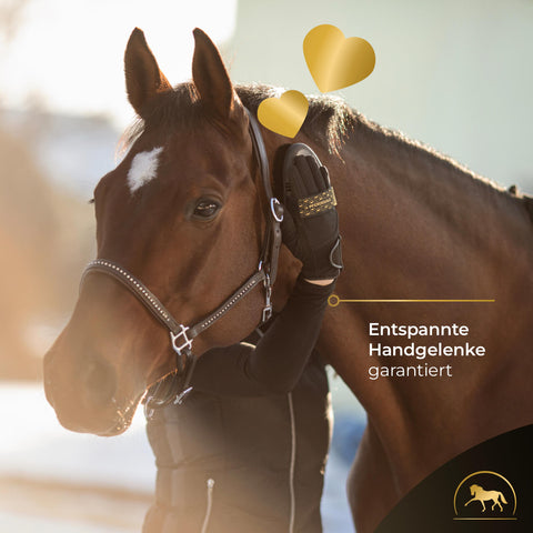 Pferdegold® 4-piece brush bundle