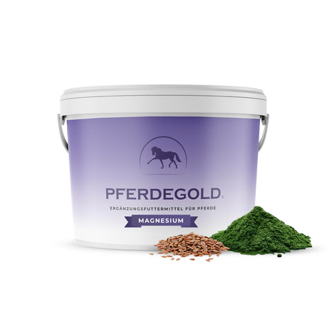 Ein Pferdegold Magnesium-Ergänzungsbecher für Pferde, mit Leinsamen und grünem Pulver zur Unterstützung der Muskeln.