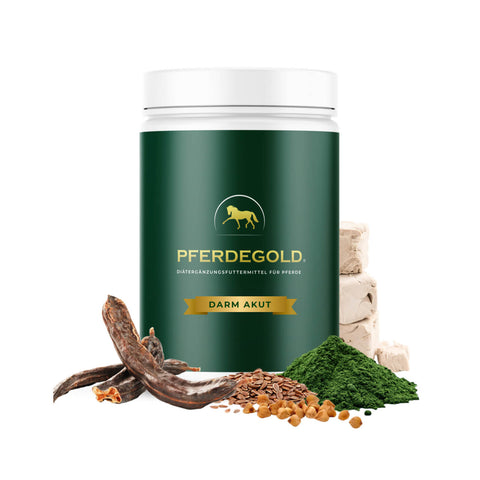 Pferdegold Darm Akut Ergänzungsfuttermittelbehälter mit Pferdelogo, abgebildet inmitten natürlicher Zutaten - perfekt für Pferde, die Magen und Verdauung unterstützen müssen.