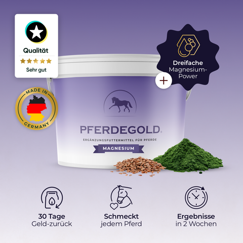 Pferdegold Magnesium-Ergänzungsbecher für Pferde mit Leinsamen und grünem Pulver zur Unterstützung der Muskulatur, mit Qualitäts- und Deutschland-Plakette auf lila Hintergrund.