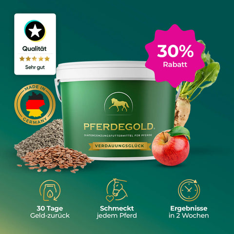 Grünes Pferdegold® Verdauungsglück - 30% Eimer für Pferde mit Apfel, Rüben, Leinsamen; zeichnet sich durch Qualitätssymbole, Geld-zurück-Garantie und sichtbare Ergebnisse aus - ein hochwertiges Pferdegold-Ergänzungsfuttermittel.