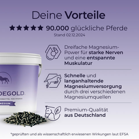 Behälter mit Pferdegold® 2er Magnesium 25% für Pferd, zur Unterstützung der Muskulatur, mit Produktinformation auf einem leuchtend violetten Hintergrund mit Farbverlauf.