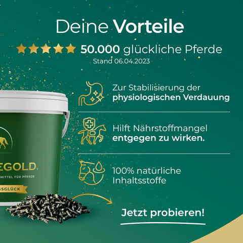 Ein grüner Pferdefuttereimer von Pferdegold Verdauungsglück unterstützt die Verdauung von Pferden mit natürlichen Nährstoffen - 50.000 glückliche Pferde haben sich darauf verlassen.