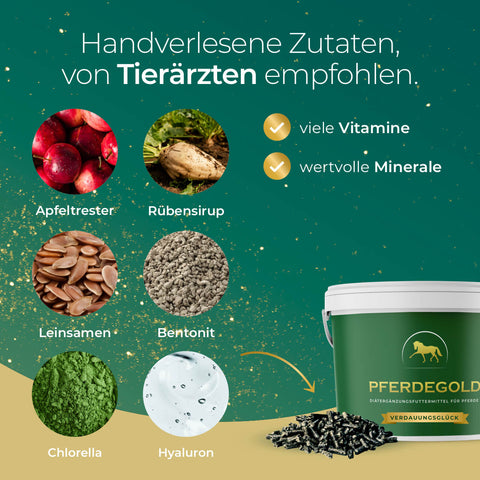 Eine grün-gelbe Grafik listet die Inhaltsstoffe von Verdauungsglück by Pferdegold auf: Apfeltrester, Rübensirup, Leinsamen, Bentonit, Chlorella und Hyaluron zur Unterstützung der Verdauung von Pferden als Magenergänzung.