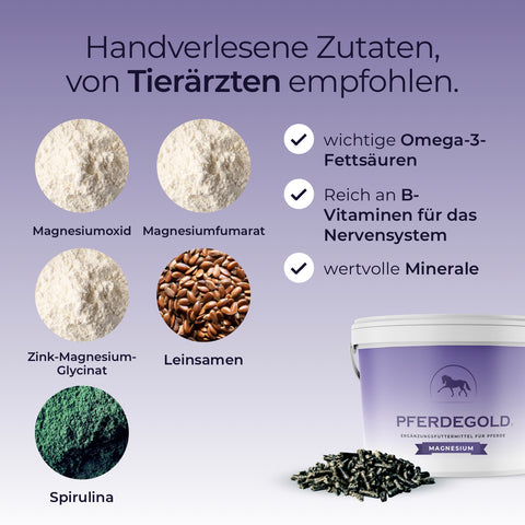 Infografik der Pferdegold Magnesium Inhaltsstoffe: Pulver, Samen und Pellets mit deutschem Text über Magnesium-Power für die Muskulatur und das Wohlbefinden deines Pferdes.