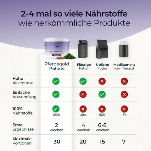 Infografik: Pferdegold Magnesium versorgt die Muskulatur Ihres Pferdes mit mehr Nährstoffen als andere Futter- oder Medikamentenlösungen.