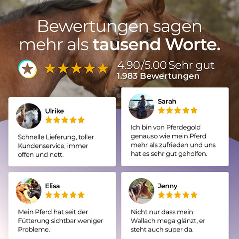 Kundenbewertungen mit Sternen und Kommentaren zu Pferdegold Magnesium für die Muskulatur sowie vier zufriedene Kundinnen-Profile.