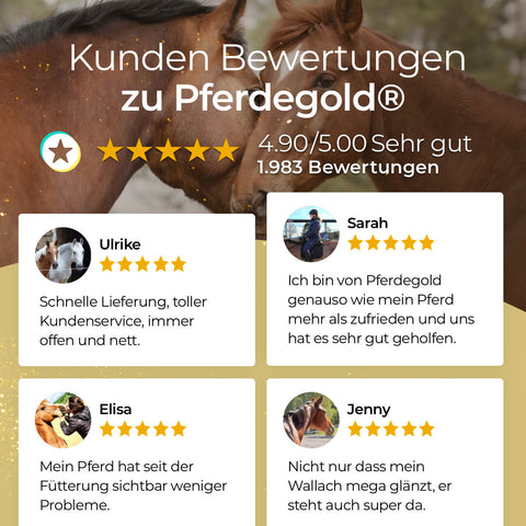 Kundenrezensionen für Pferdegold Verdauungsglück mit Bewertungen, Sternchen-Symbolen und Pferdebildern im Hintergrund stellen dieses bewährte Verdauungsergänzungsmittel für Pferde vor.