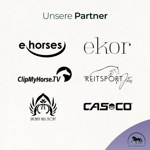 Logos von sechs Partnerunternehmen der Reitbranche, darunter Pferdegold Magnesium für Pferdemuskulatur, auf weißem Hintergrund mit dem Titel "Unsere Partner".