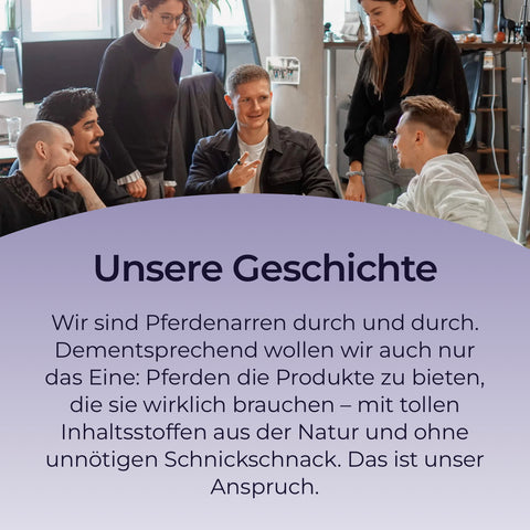 Fünf Personen lächeln und unterhalten sich in einem Büro; unten steht ein deutscher Text über Pferdegold Magnesium, in dem die Kraft des Magnesiums zur Unterstützung der Pferdemuskulatur hervorgehoben wird.