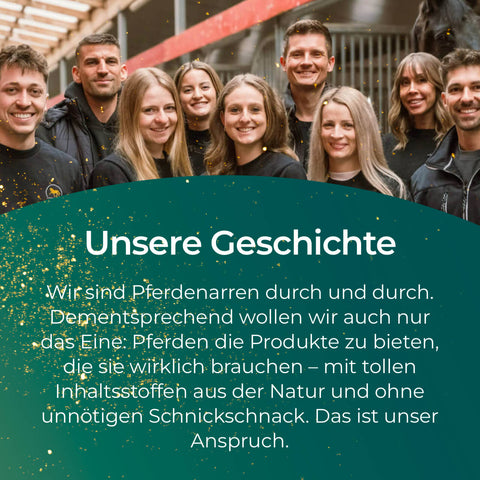 Eine Gruppe junger Menschen lächelt in die Kamera; Text über ihre Geschichte und Philosophie zu Pferdeprodukten wie Pferdegold Verdauungsglück für optimale Unterstützung der Verdauung von Pferden.